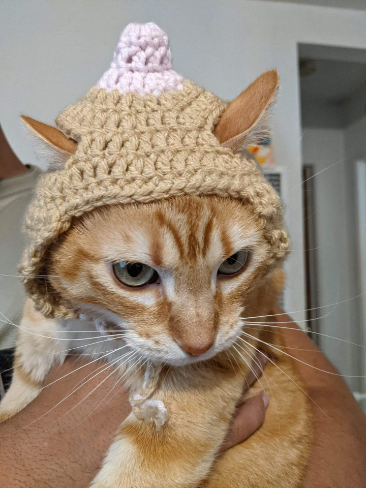 PixelThat Punderwear Cat Hats Custom Cat Hat